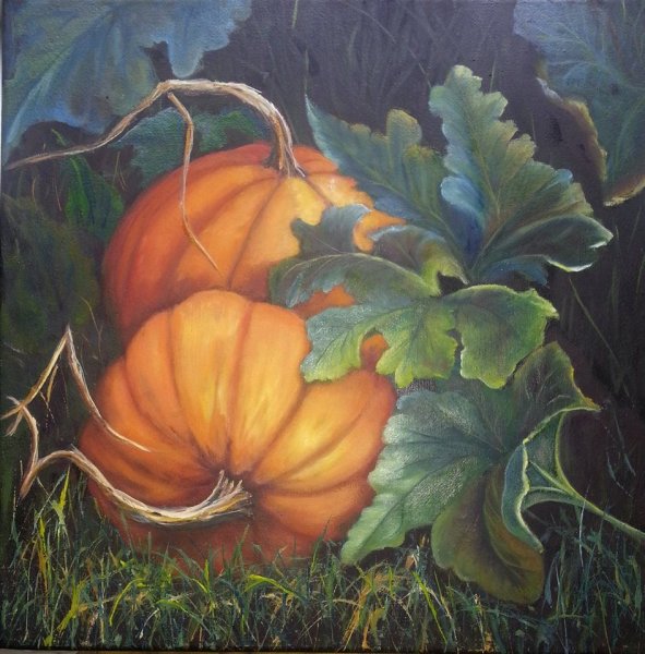 Тыква Гейлакс де ЭЗИНС