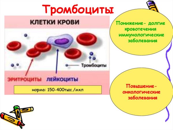 Состав крови эритроциты лейкоциты тромбоциты