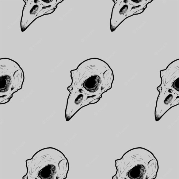 Череп вороны референс