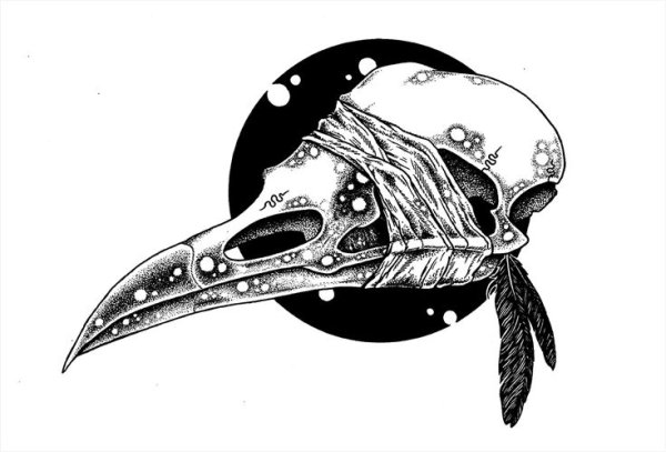 Череп птицы арт