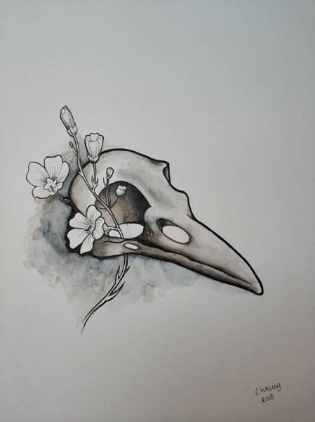 Птичий череп тату