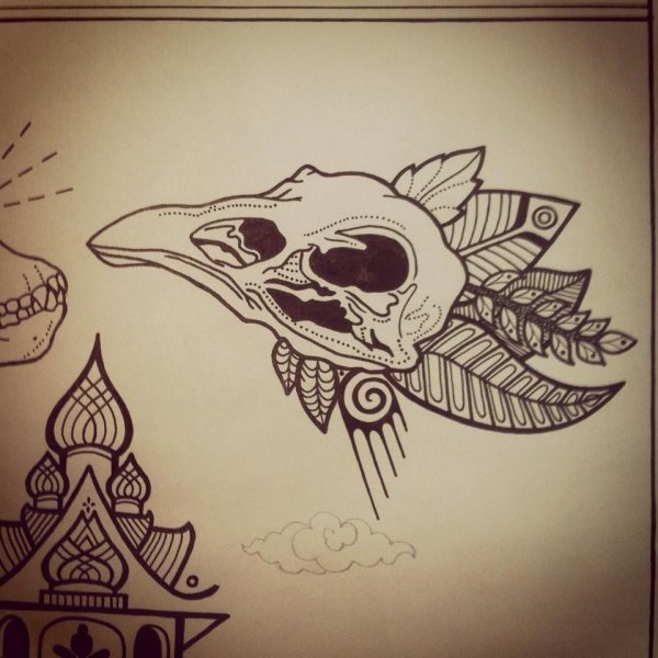 Череп птицы сбоку