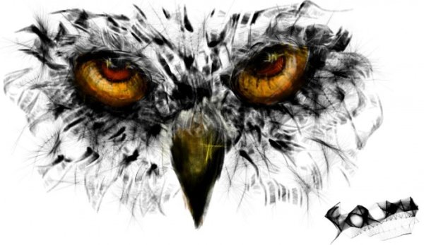 Тату глаза хищника