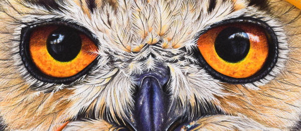 Глаза Совы нарисованные