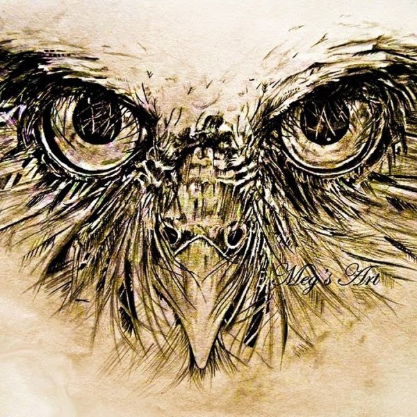 Глаз птицы арт