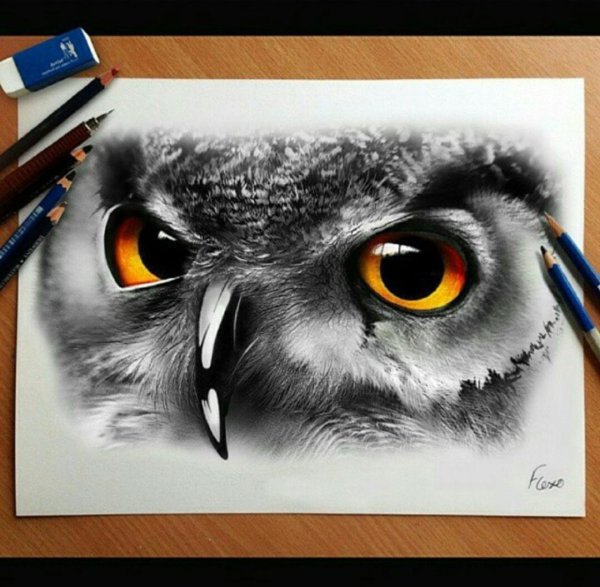 Глаза Совы тату эскиз