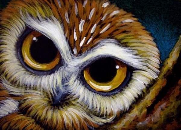 Рисуем глаза Совы