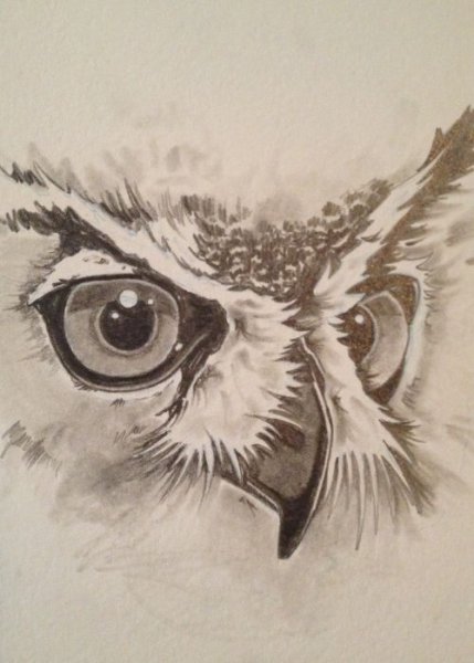Глаз Совы карандашом