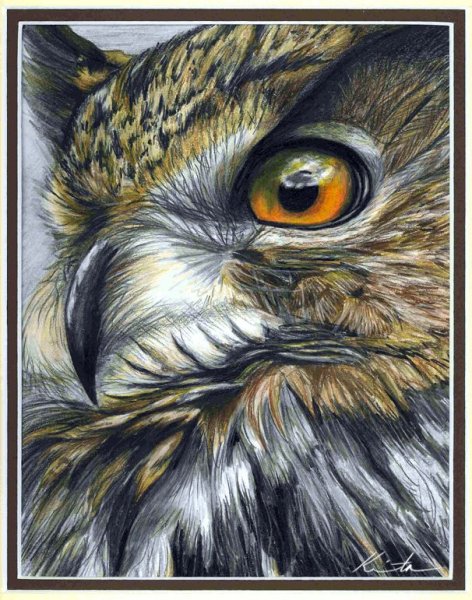 Глаза Совы живопись