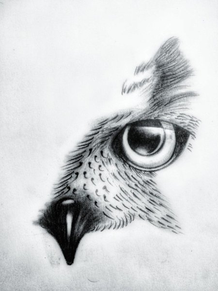 Глаза Совы тату эскиз