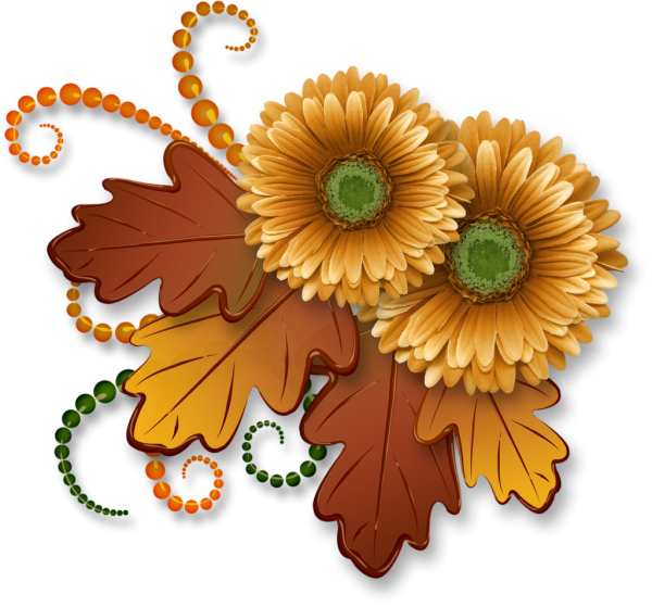 Осенние цветы клипарт