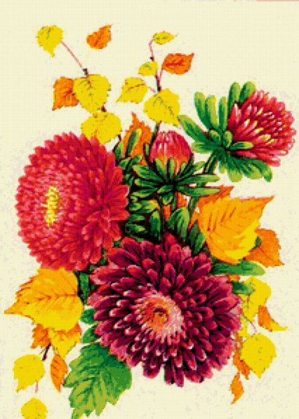 Зарисовки осенних цветов