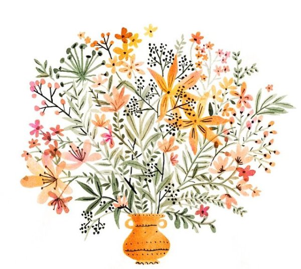 Ботаническая иллюстрация осенние цветы