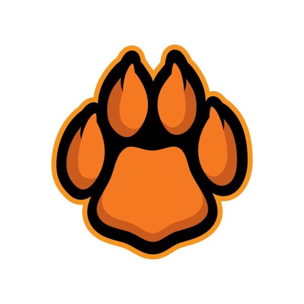 Отпечаток лапы тигра