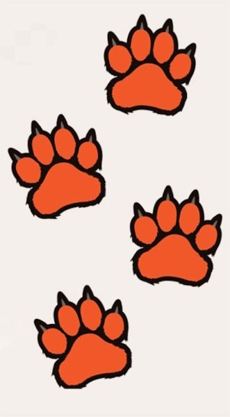 Лапка лисы отпечаток