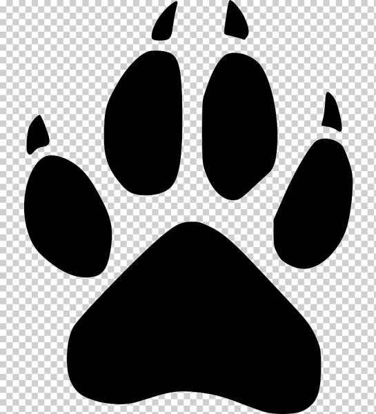 Лапка лисы отпечаток