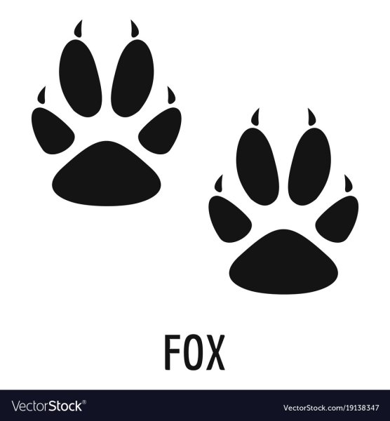Отпечаток лапы лисы