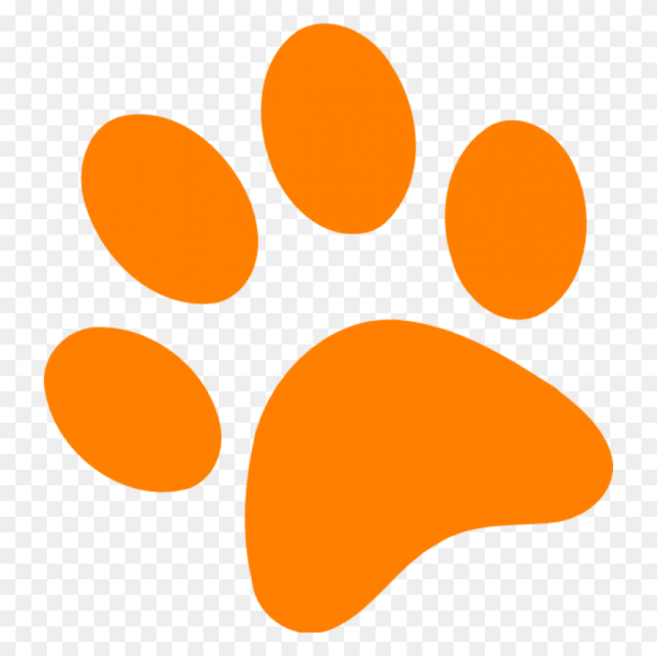 Оранжевые лапки