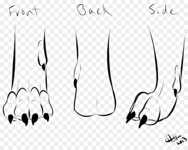 Мультяшные лапы