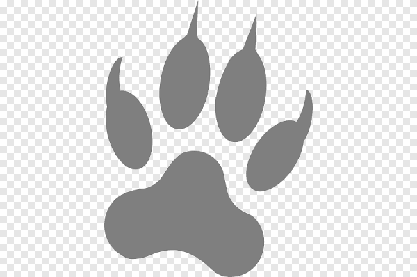 Отпечаток лапы волка