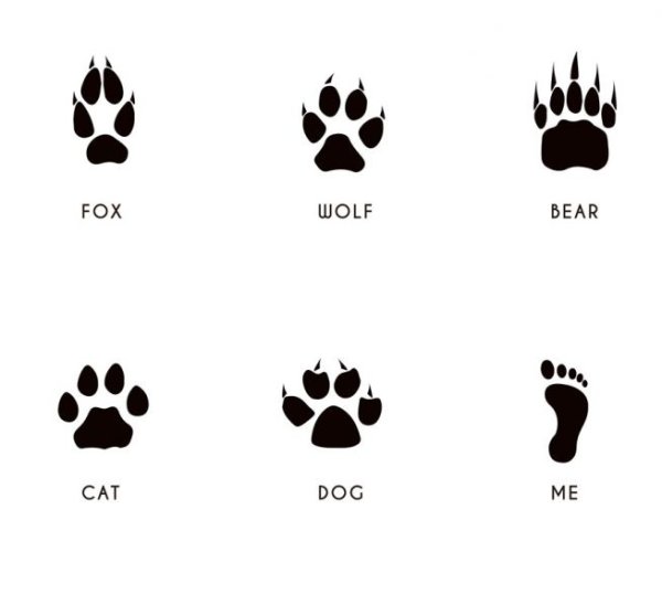 Тату лапки лисы