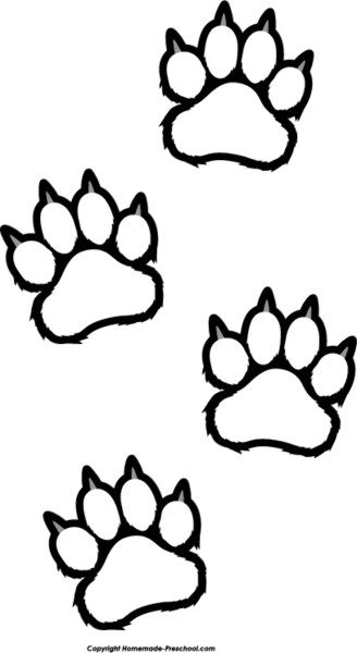 Кошачья лапка рисунок карандашом