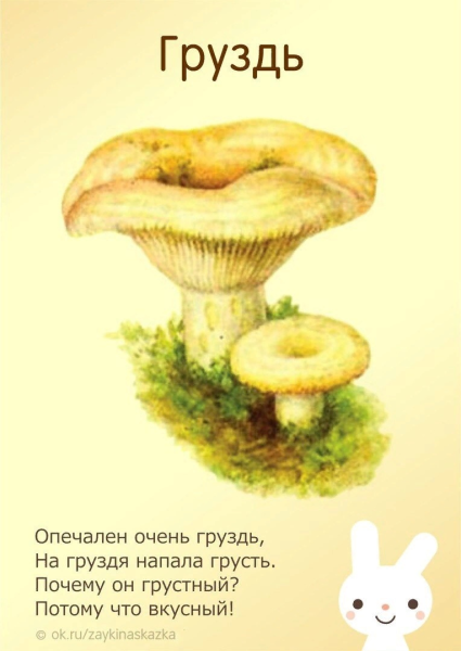 Гриб груздь раскраска