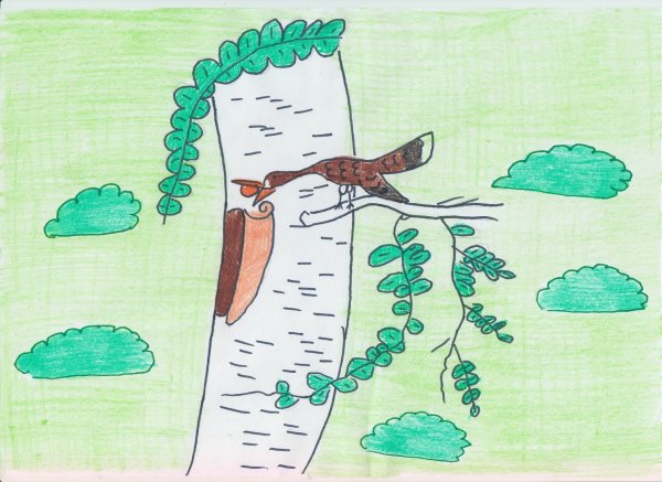 М М пришвин берестяная трубочка