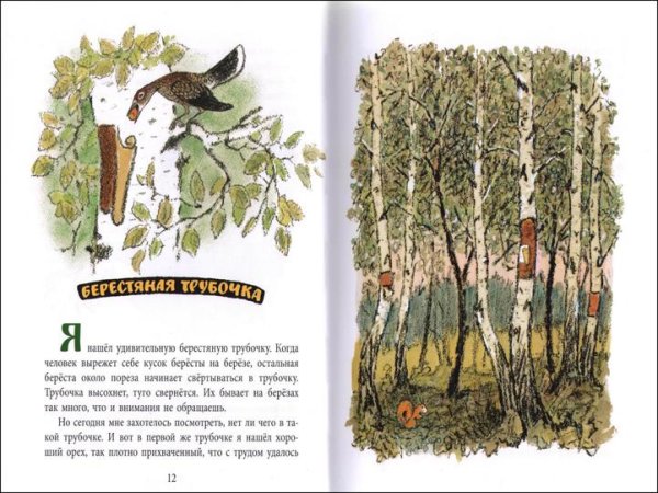 Пришвин берестяная трубочка