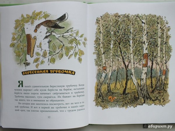 М Пришвина берестяная трубочка