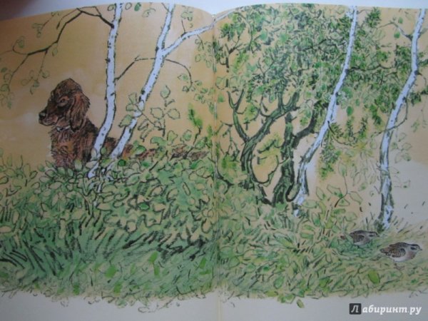 Михаил пришвин берестяная трубочка