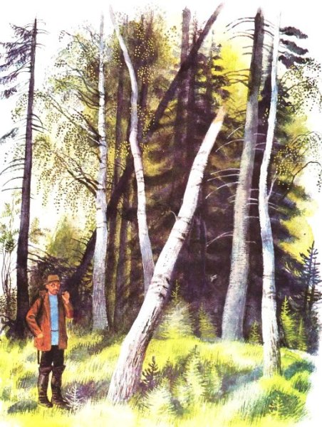 Пришвин берестяная трубочка