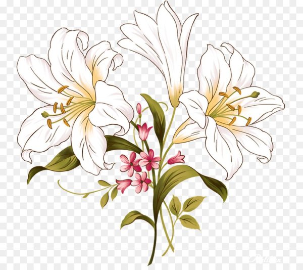 Цветы рисунок