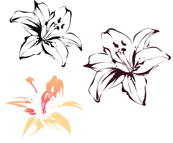 Силуэт лилии