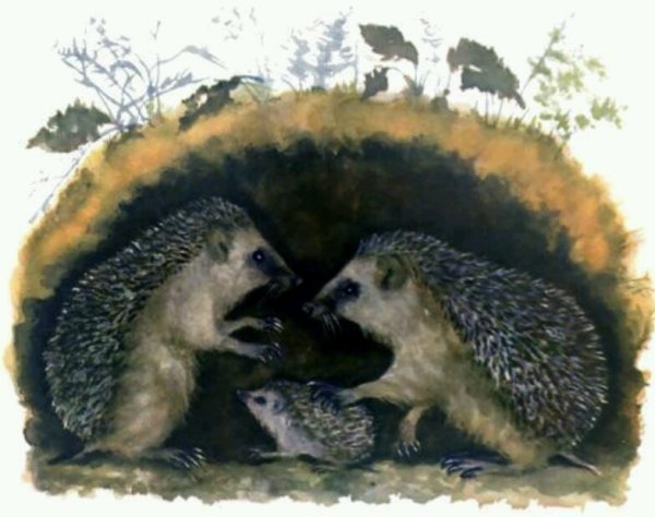 Маршак Тихая сказка книга