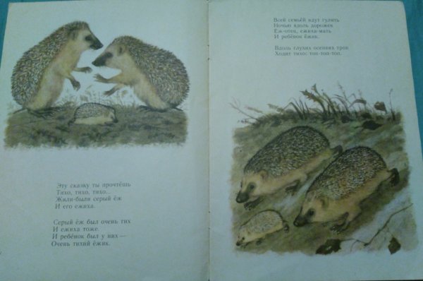 Тихая сказка иллюстрации Лебедева