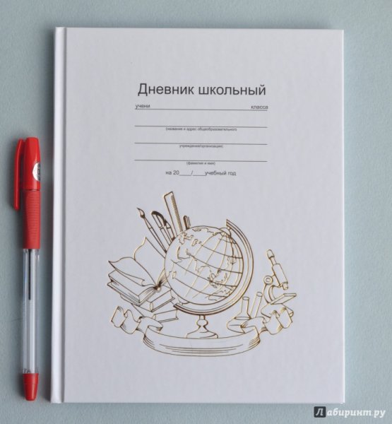 Обложка для дневника школьного
