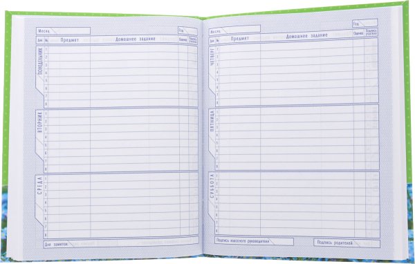 Дневник старшеклассника