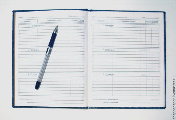 Дневник раскрытый школьный