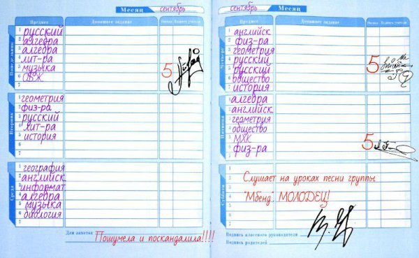 Школьный дневник