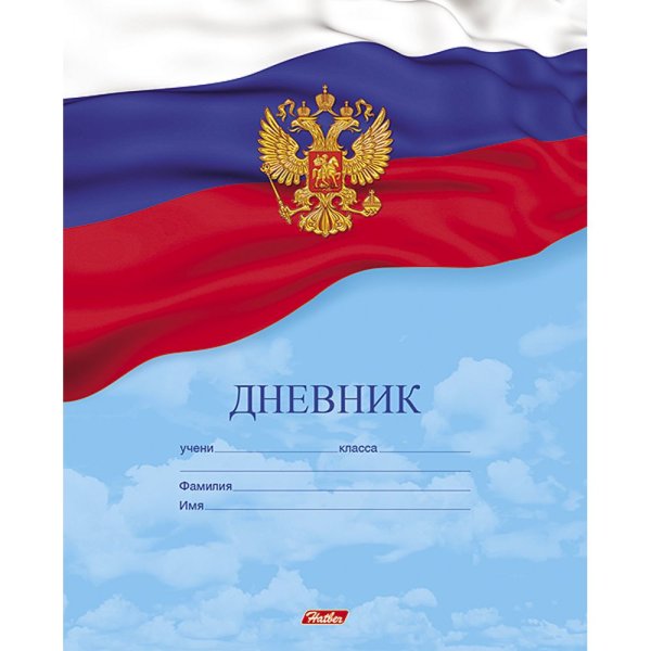 Дневник школьный Феникс+ Глобус