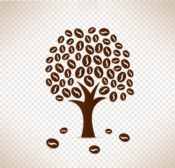 Кофейное дерево нарисовать