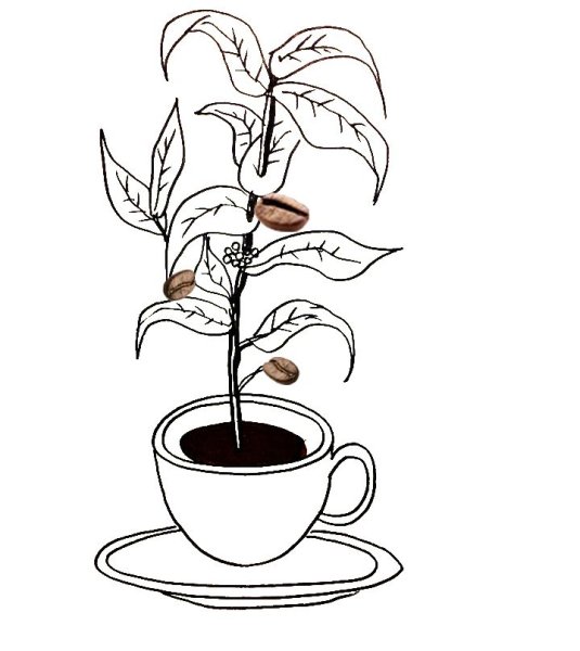 Трафареты для рисования кофем