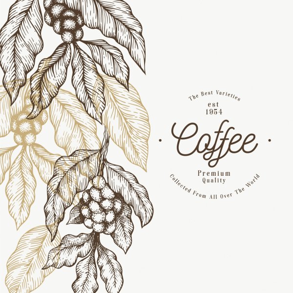 Кофейная веточка вектор