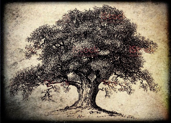 Винтажное дерево