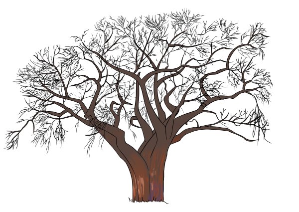 Дерево рисунок