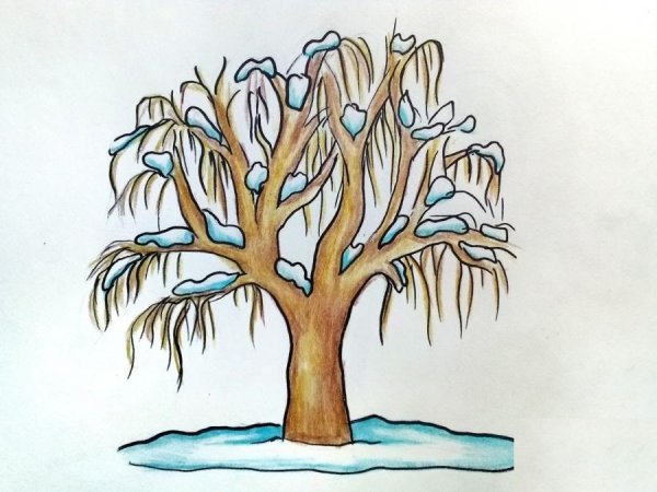 Дерево цветными карандашами