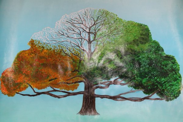 Графика раскидистое дерево