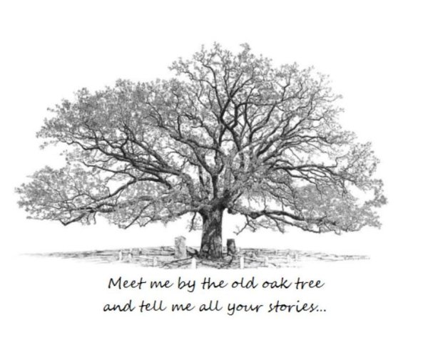 Широкое раскидистое дерево