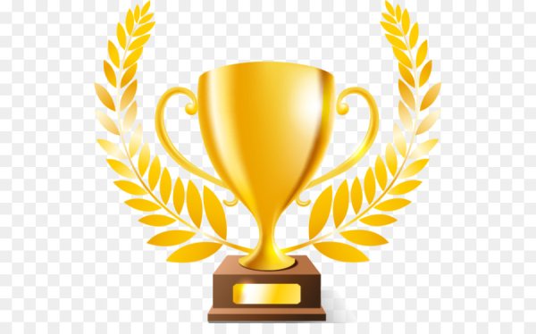 Кубок победителя 1 место